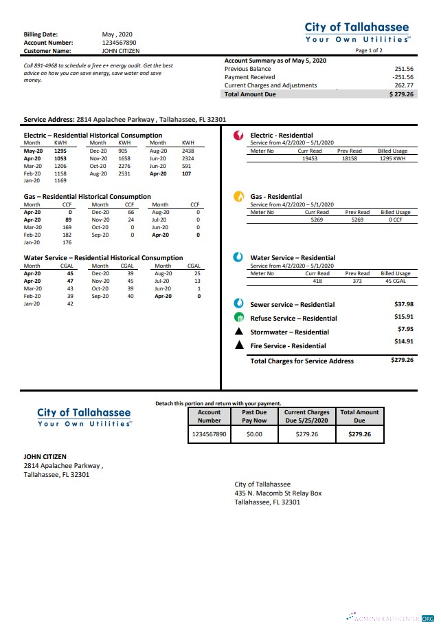USA Florida City of Tallahassee Florida Your Own Utilities bill template in Word and PDF format